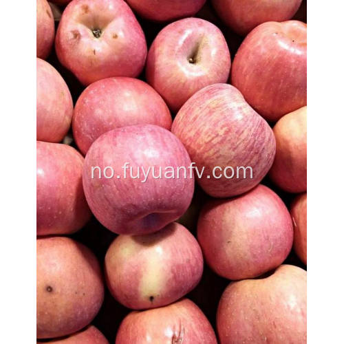 Ny Crop Fresh Billige Fuji Apple (64-198)